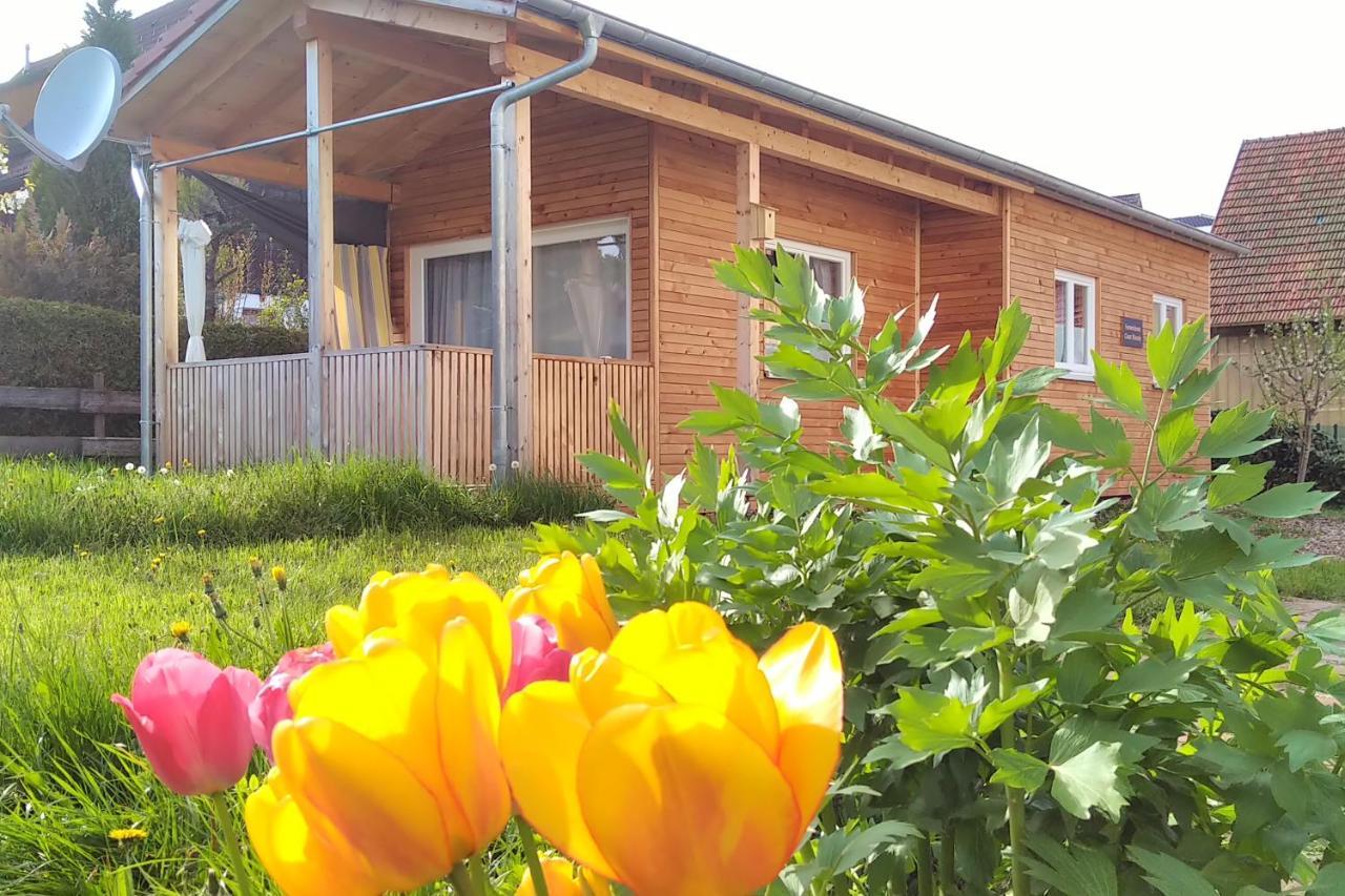 Tiny-Ferienhaeusle Casa Wendy Villa Loßburg Dış mekan fotoğraf