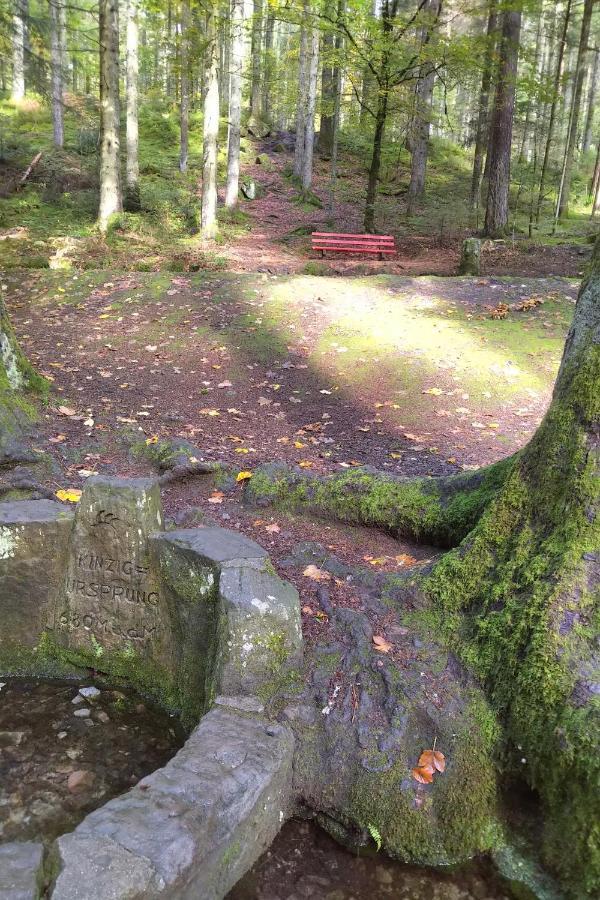 Tiny-Ferienhaeusle Casa Wendy Villa Loßburg Dış mekan fotoğraf
